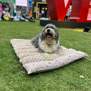 camas ortopedicas para perros