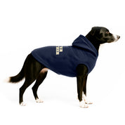 Combo Hoodie Better Together Humano + Perro