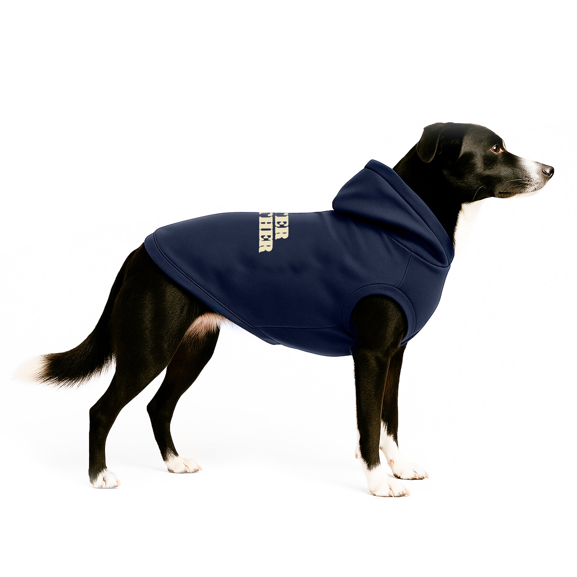 Combo Hoodie Better Together Humano + Perro