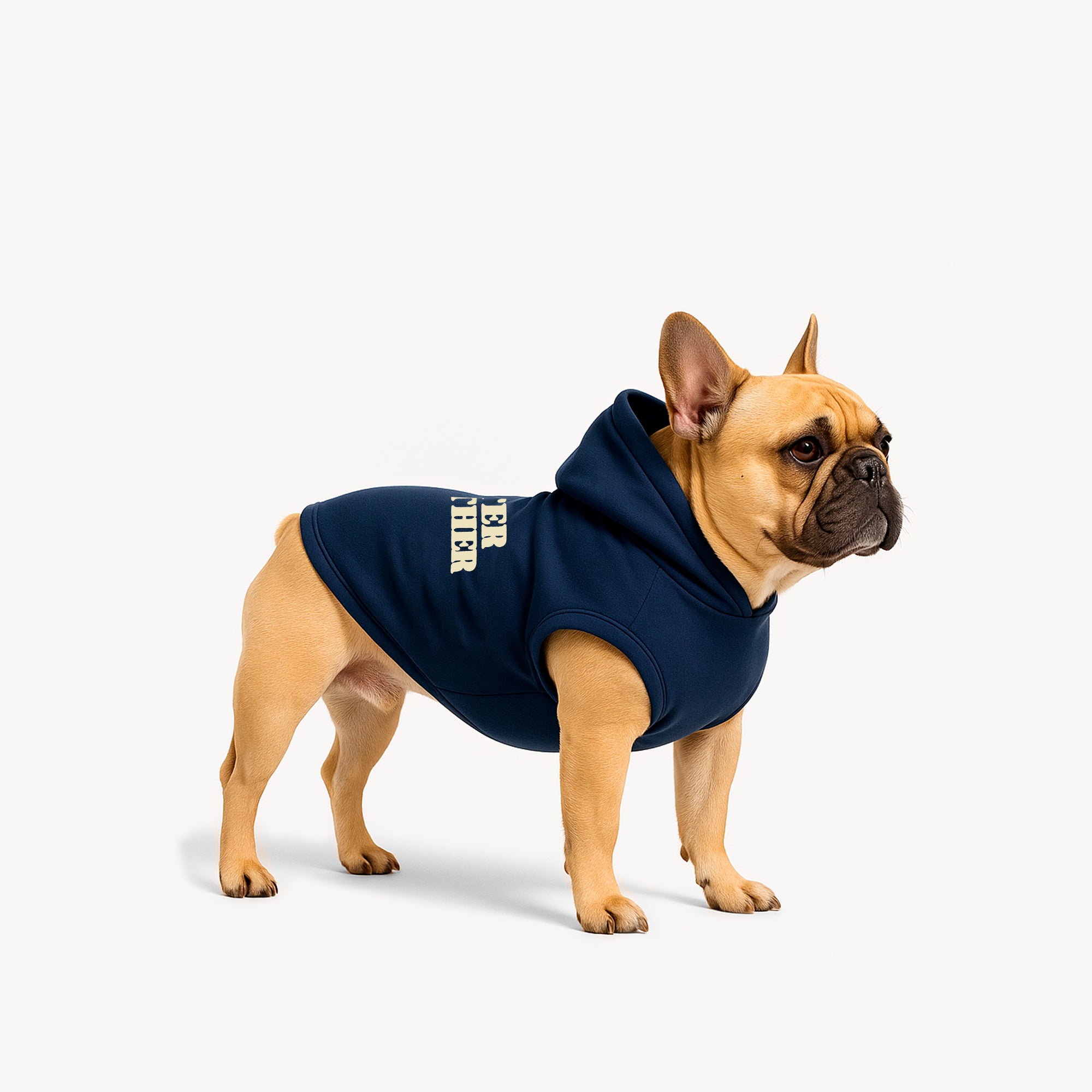 HODDIE-AZUL-DOG-M_fe9b997d-617a-424b-aa3b-279506f7ea14.jpg