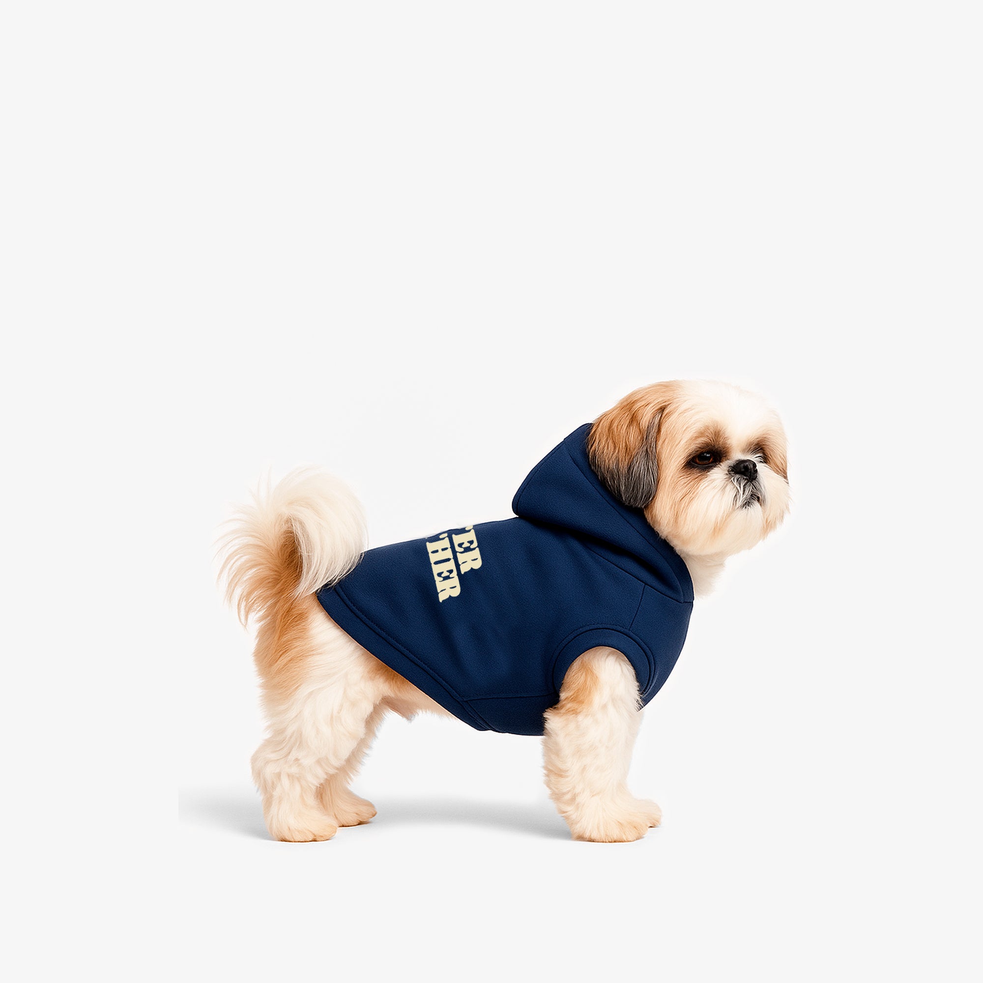 HODDIE-AZUL-DOG-S_4b8c5c27-591f-46ee-a5d2-3c12ed101f4c.jpg