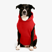 Hoodie Better Together Para Perro