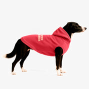 Combo Hoodie Better Together Humano + Perro
