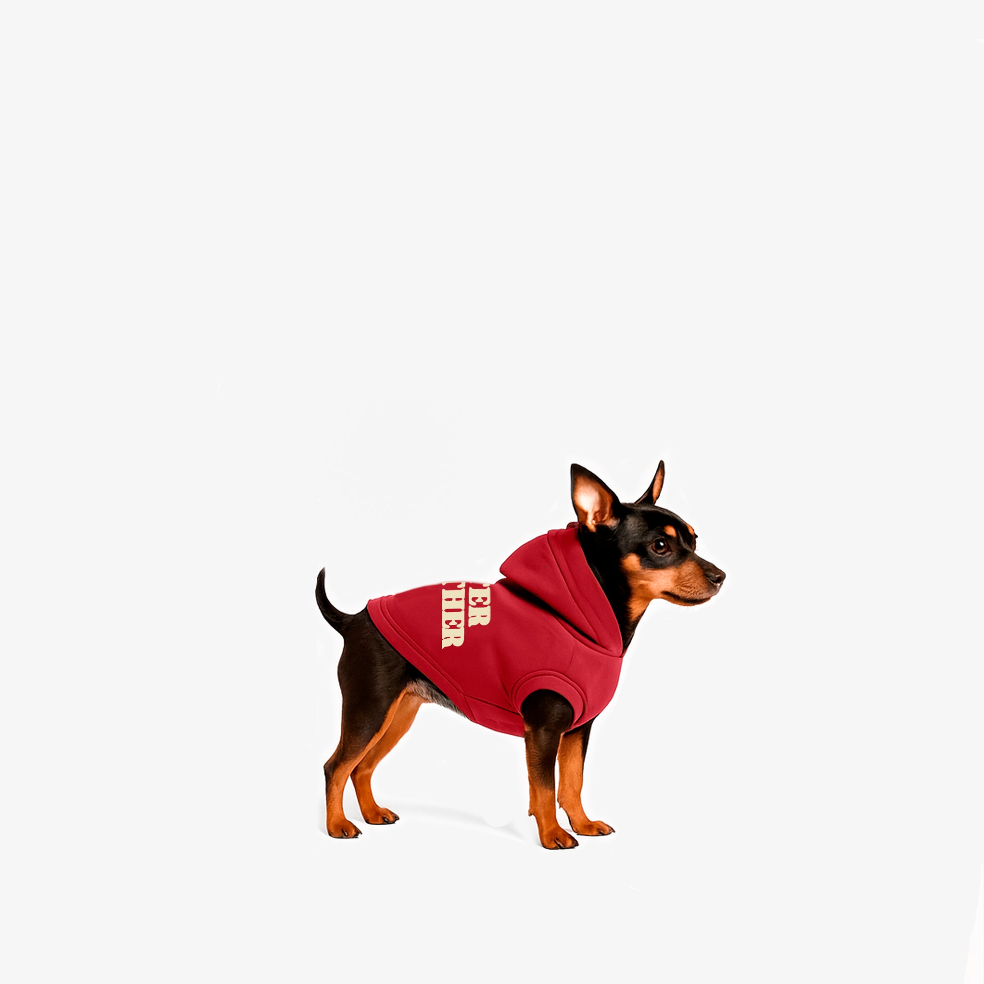 Hoodie Better Together Para Perro