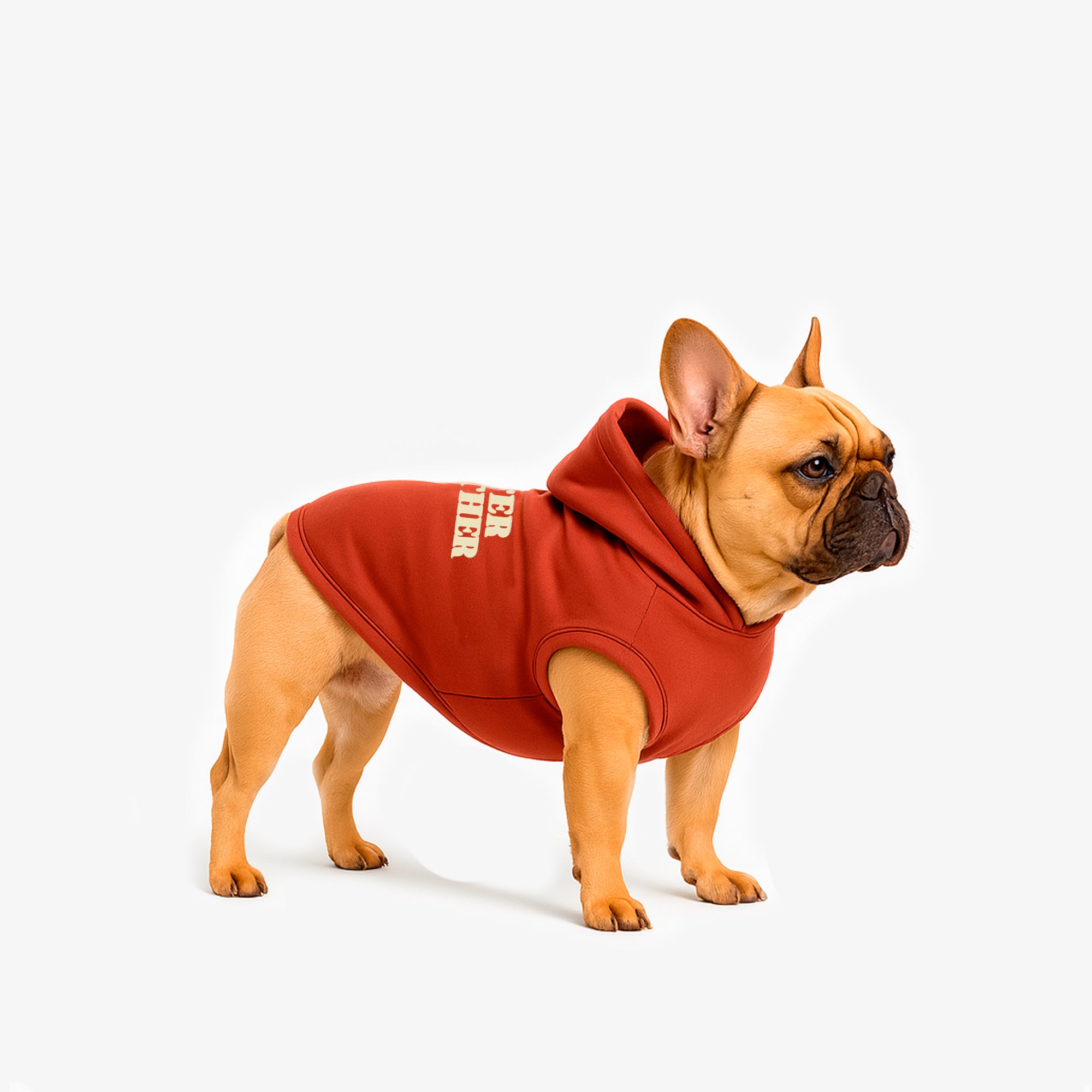 Hoodie Better Together Para Perro