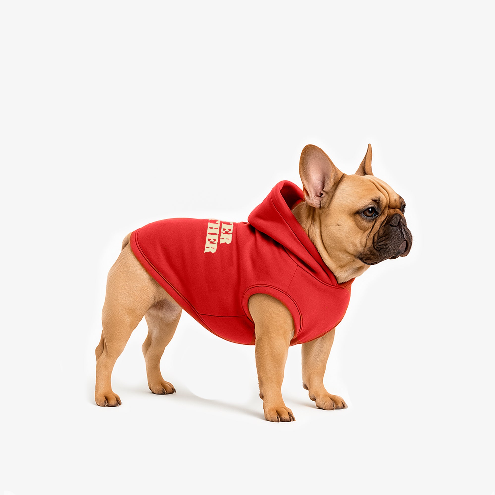 HODDIE-CORALperro-M.jpg