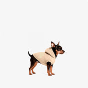 Hoodie Better Together Para Perro