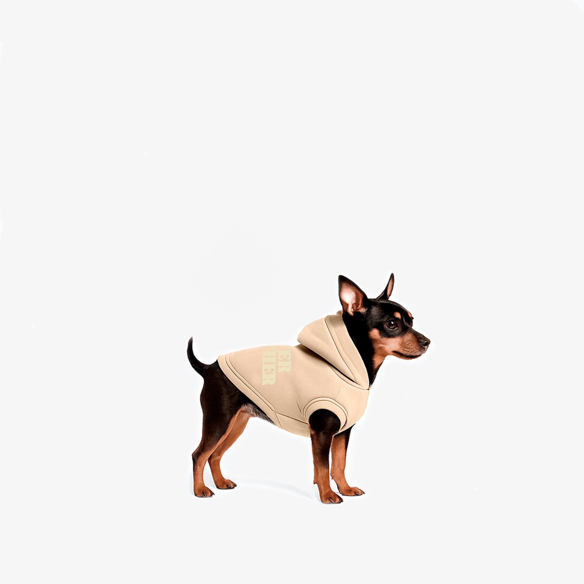 Hoodie Better Together Para Perro