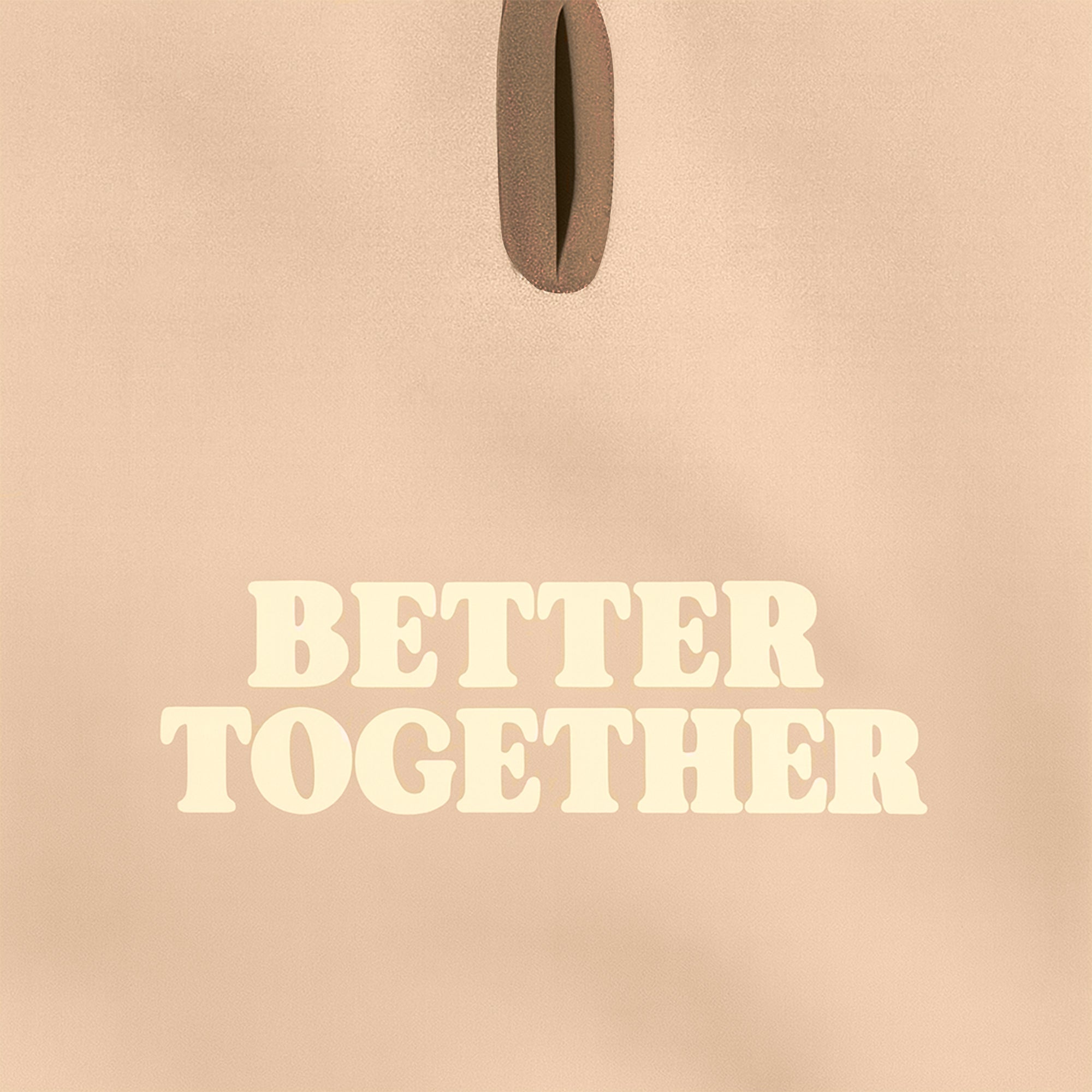 Hoodie Better Together Para Perro