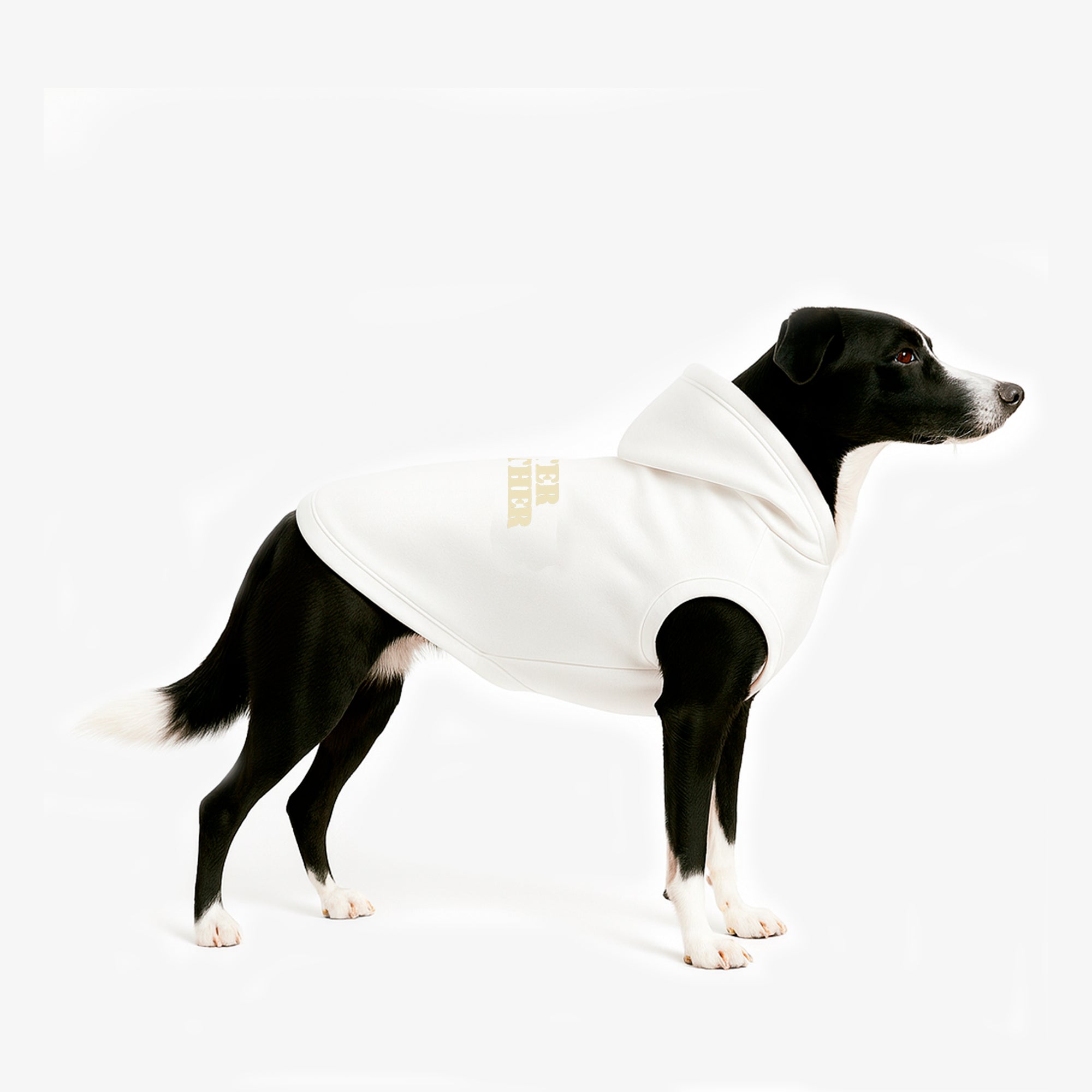 Hoodie Better Together Para Perro