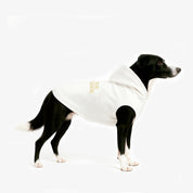 Combo Hoodie Better Together Humano + Perro