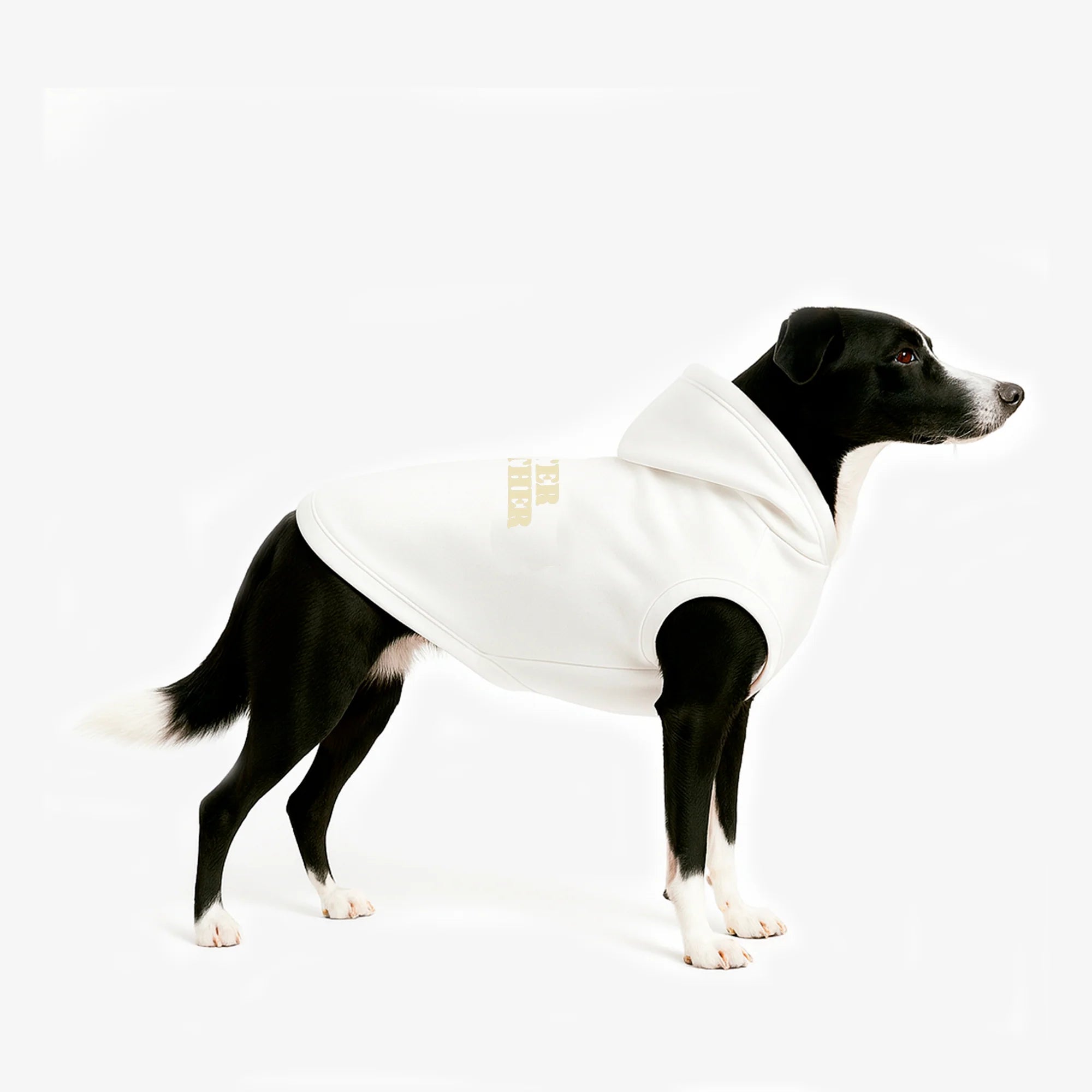 Combo Hoodie Better Together Humano + Perro
