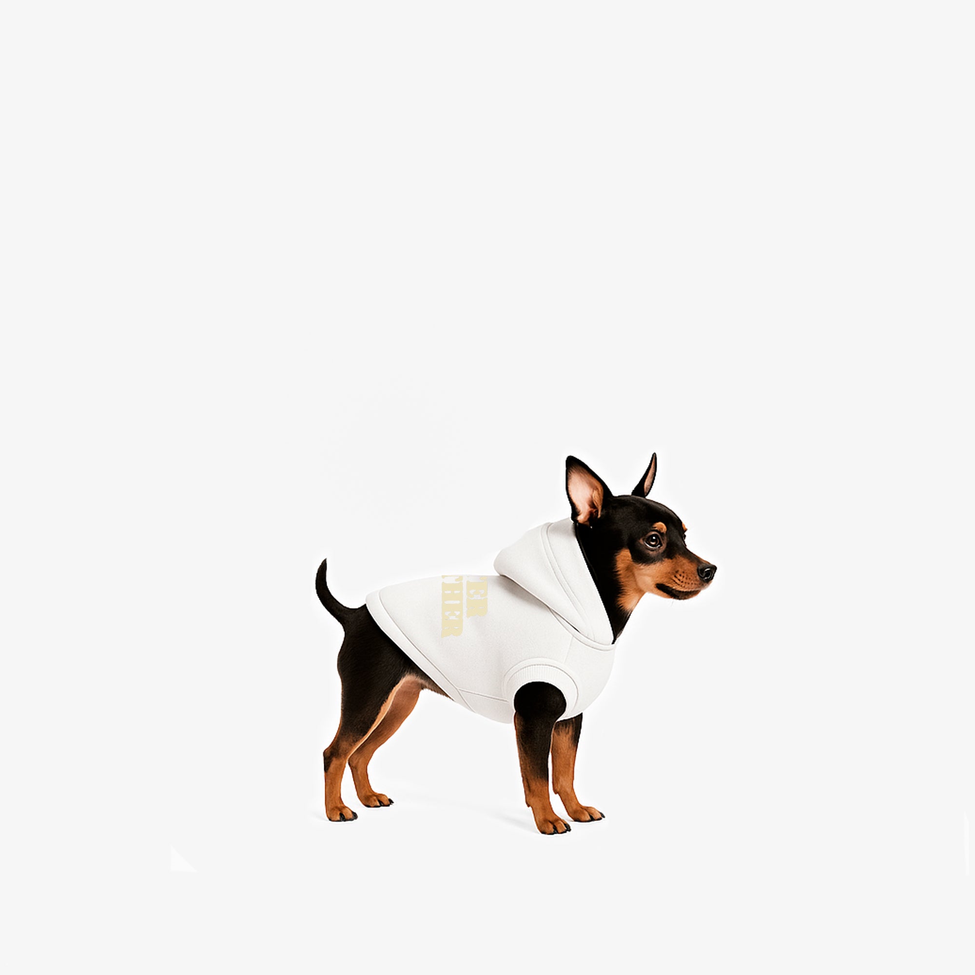 Hoodie Better Together Para Perro