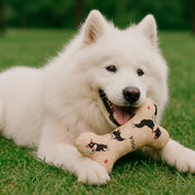 Juguete para mascota hueso Yogui