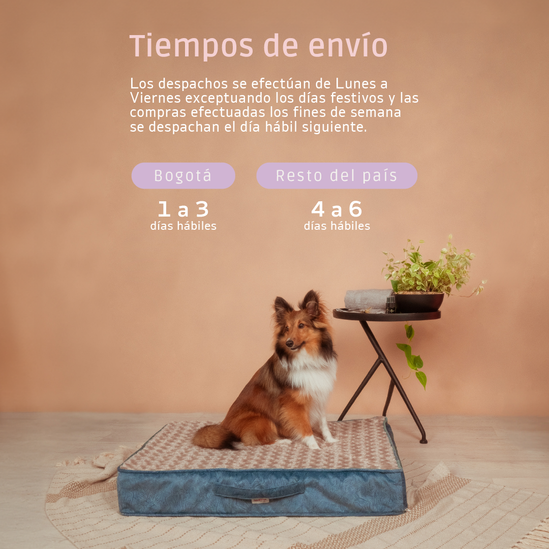 Bandana Para Perro Hip Hop