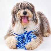 Juguetes tejidos para perros | Colección Pacífico