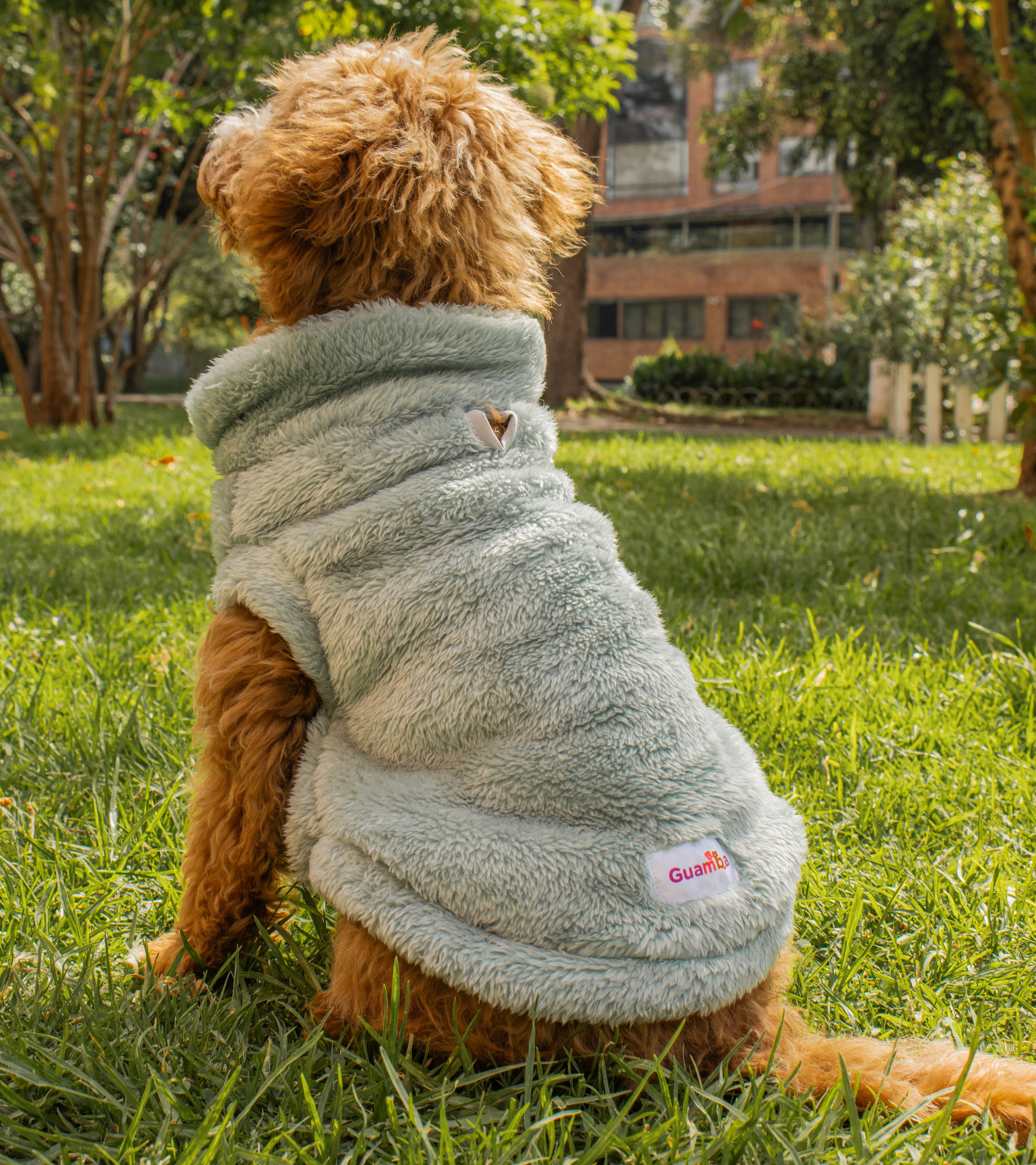 Sacos Moscú para perro