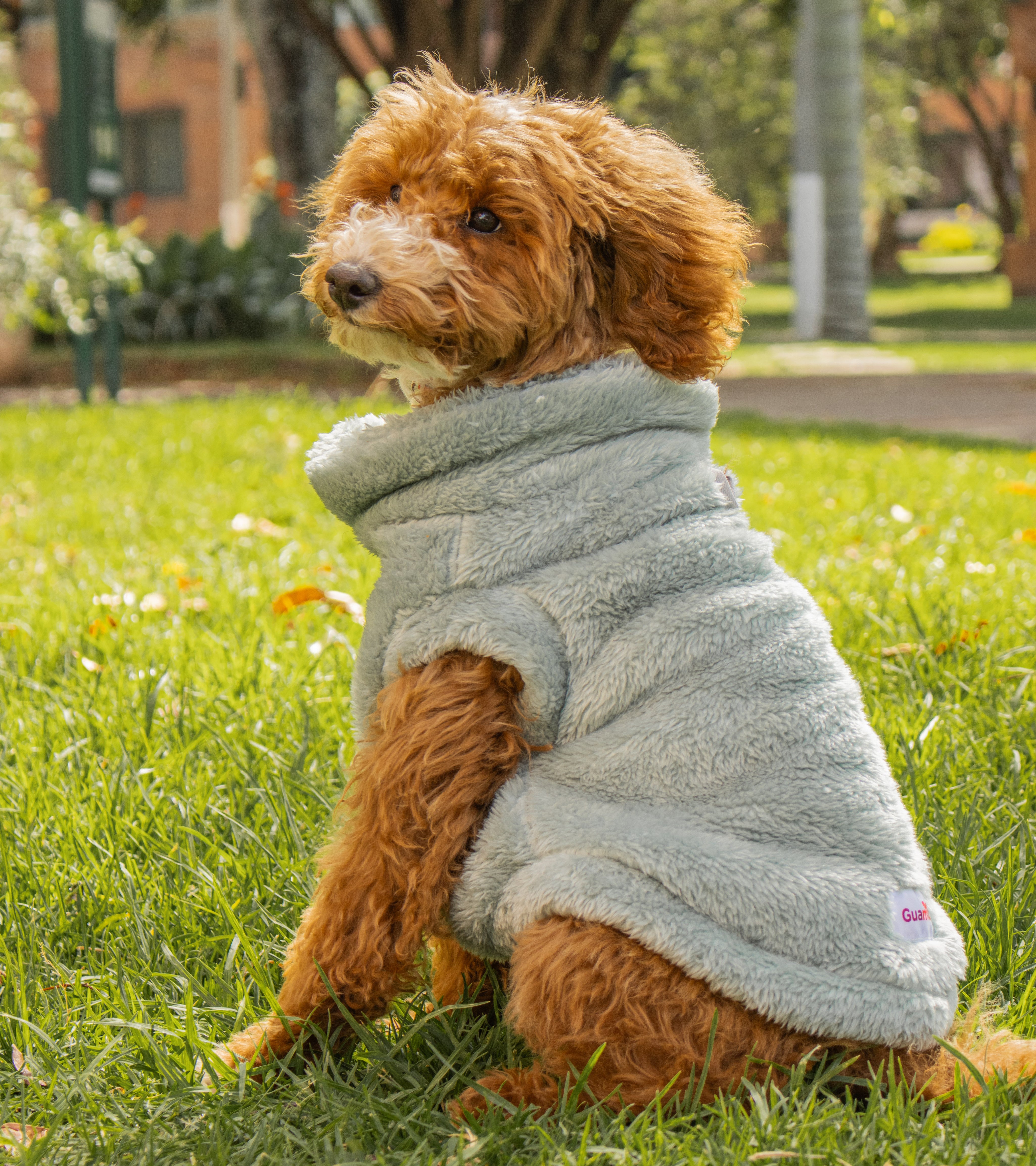 Sacos Moscú para perro