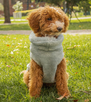 Sacos Moscú para perro