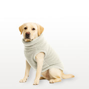 Sacos Moscú para perro