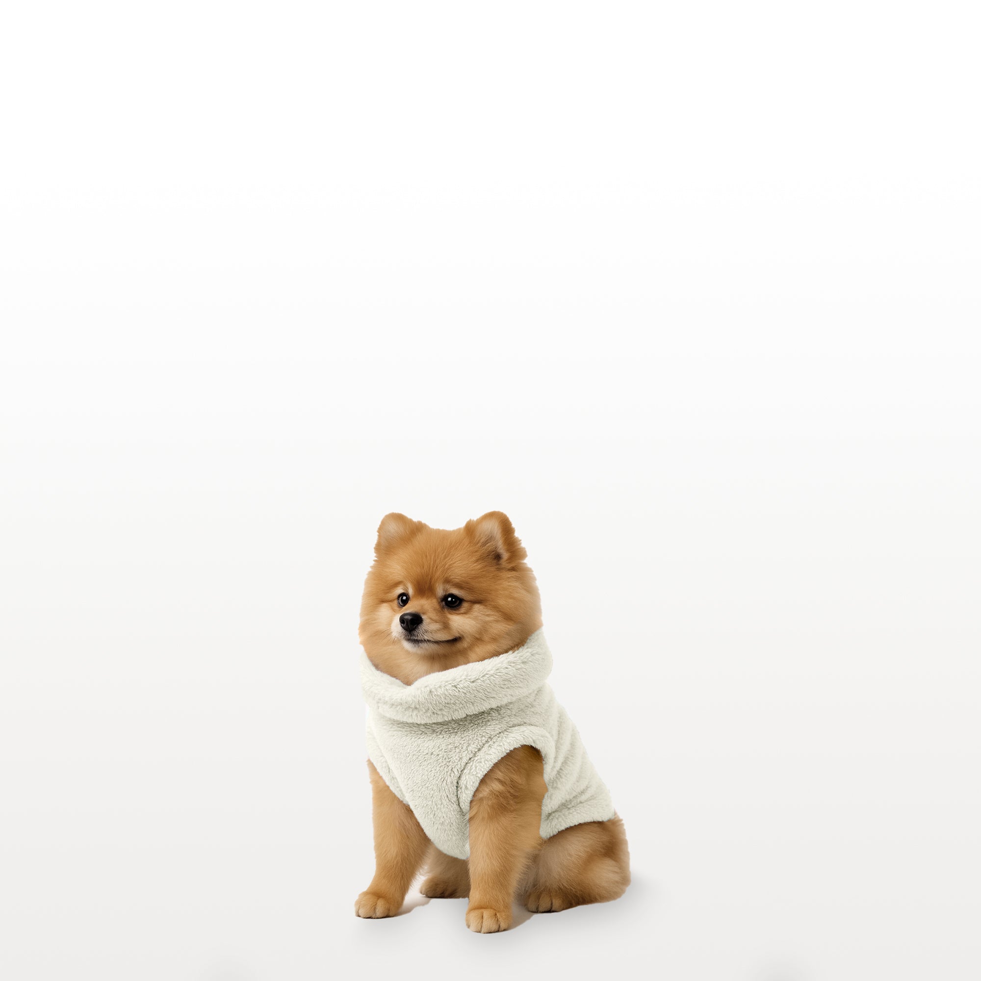 Sacos Moscú para perro