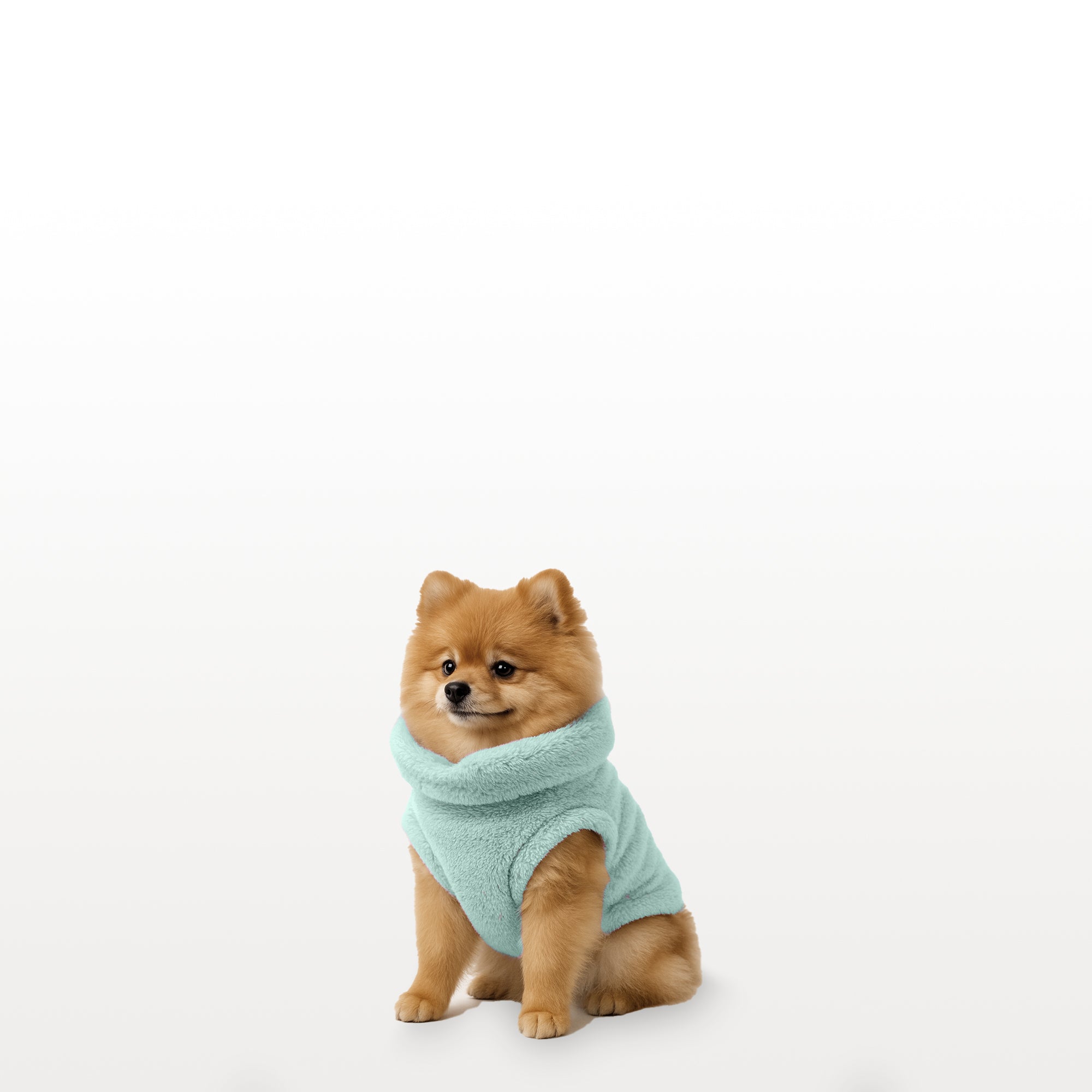 Sacos Moscú para perro