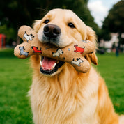 Juguete para perro Hueso