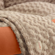 Camas París en combo para mascotas