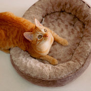 Camas París para gato