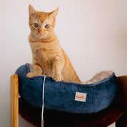 Camas París para gato