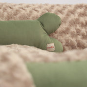 Camas París en combo para mascotas