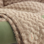 Camas París en combo para mascotas