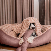 Camas París en combo para mascotas