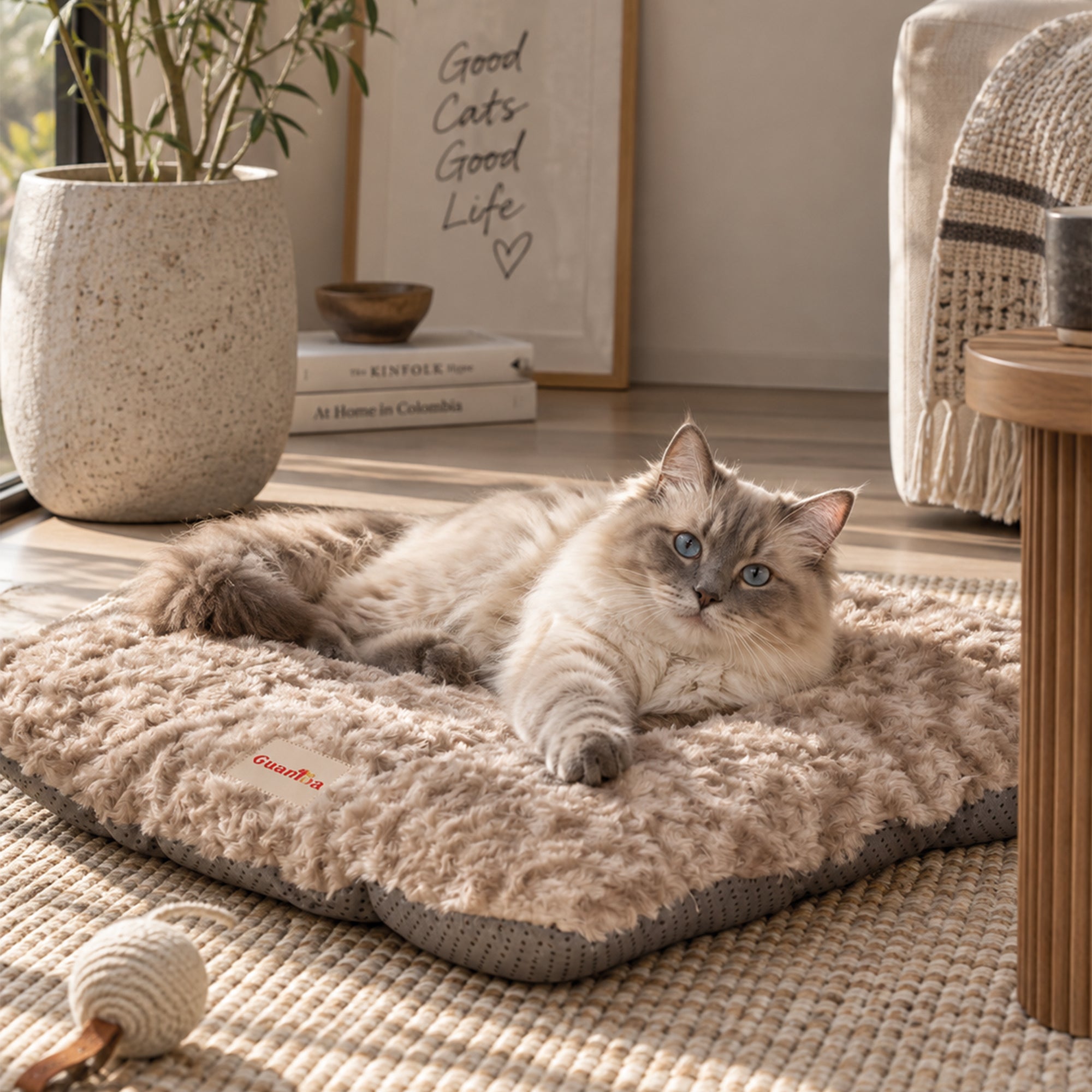 PORTADA-COLCHONETA-GATO.jpg