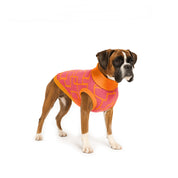 Saco Kubik para perro