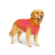 Saco Kubik para perro