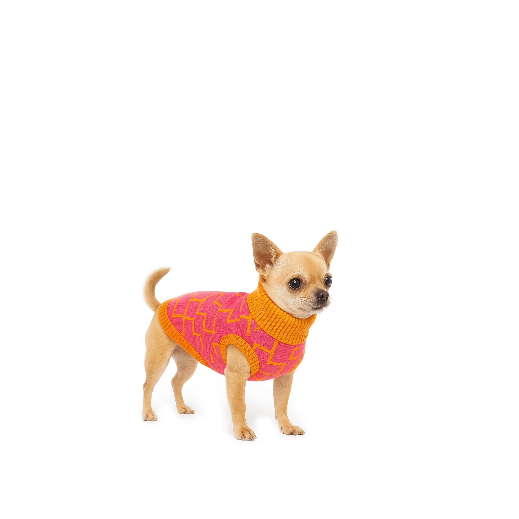 Saco Kubik para perro