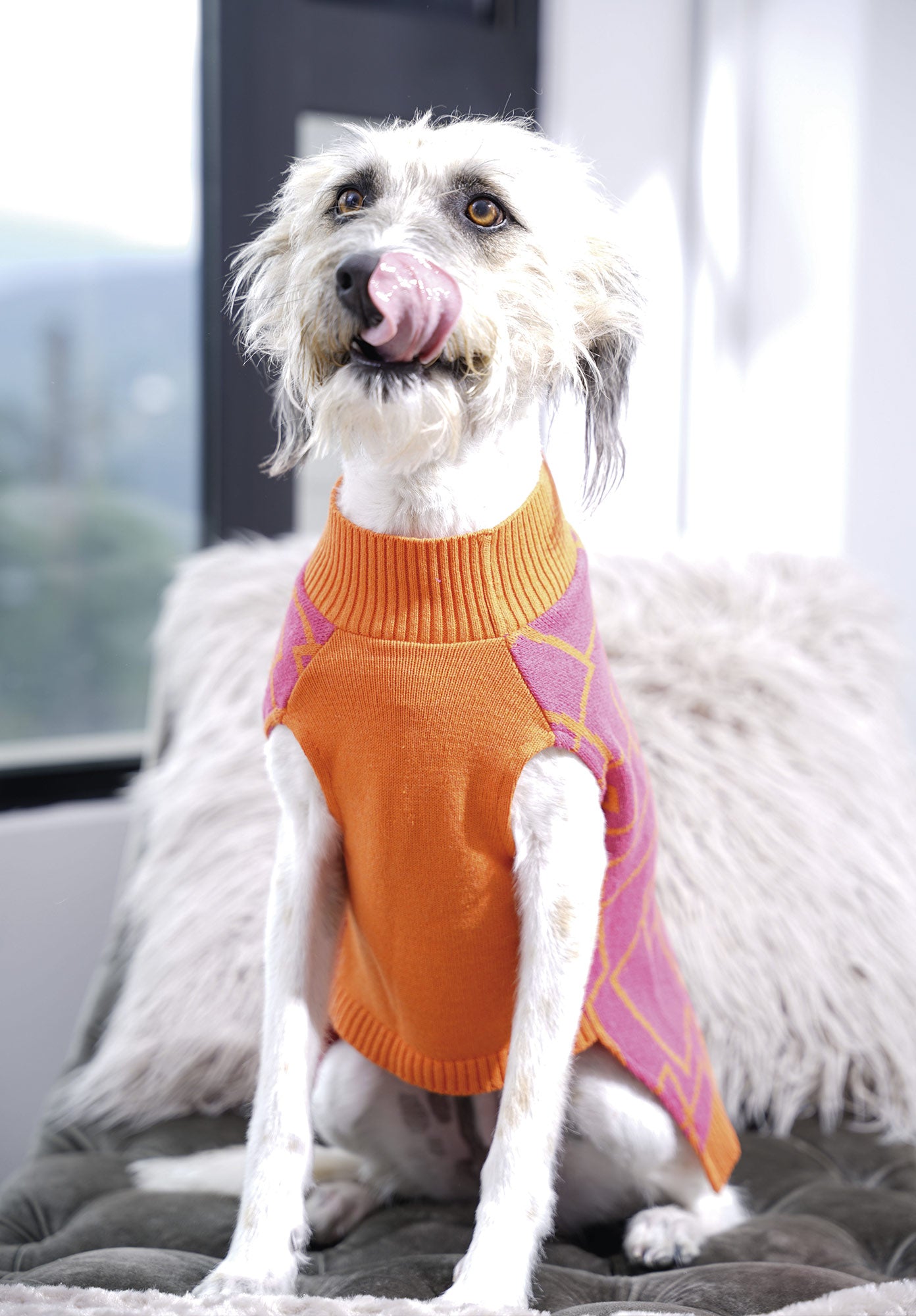 SACO-KUBIK-GUAMBA-BOUTIQUE-PARA-PERROS.jpg