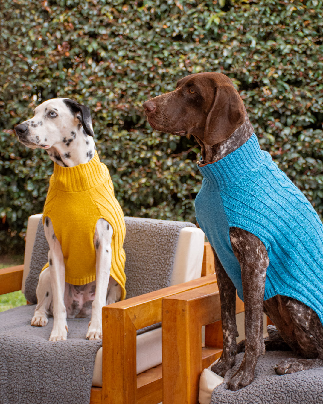 Saco Mascota Preppy