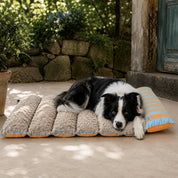 Cama portátil Travel Roll Funny para perros y gatos