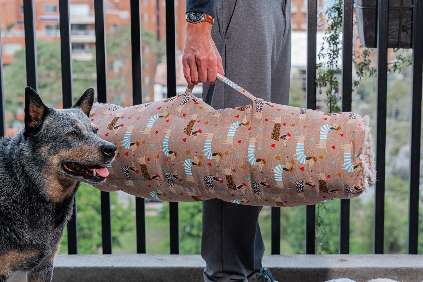 Colchoneta para perros Travel Roll Frenchy