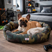 Camas estampadas en combo para mascota