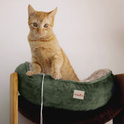 Camas París para gato