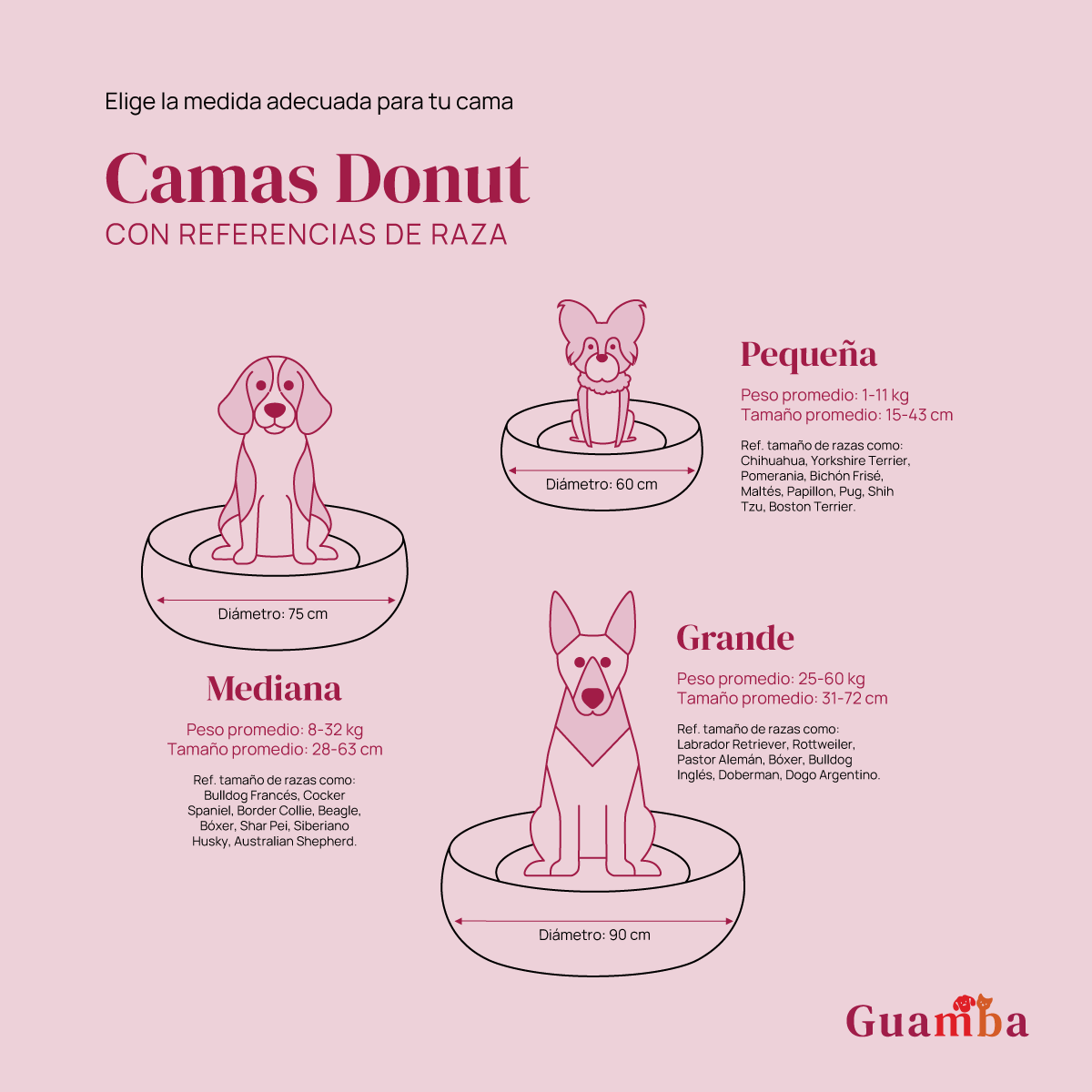 camas_donuts.png