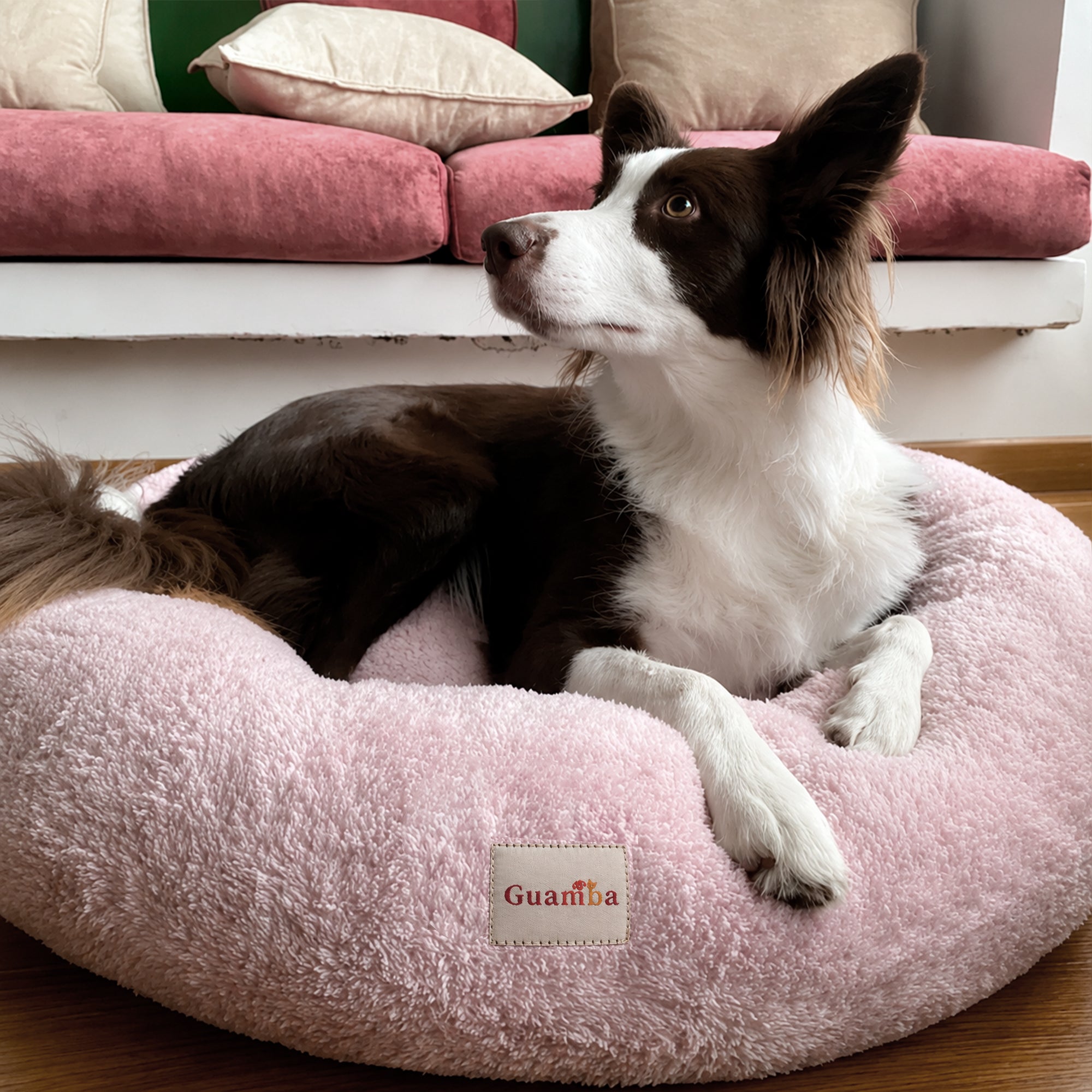 Camas antiestrés tipo Donut para perro