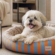 Camas Funny para mascota
