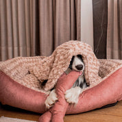 Camas París en combo para mascotas