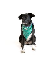 Bandana Para Perro Flow