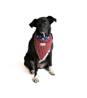 Bandana Para Perro Blues