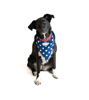 Bandana Para Perro Blues